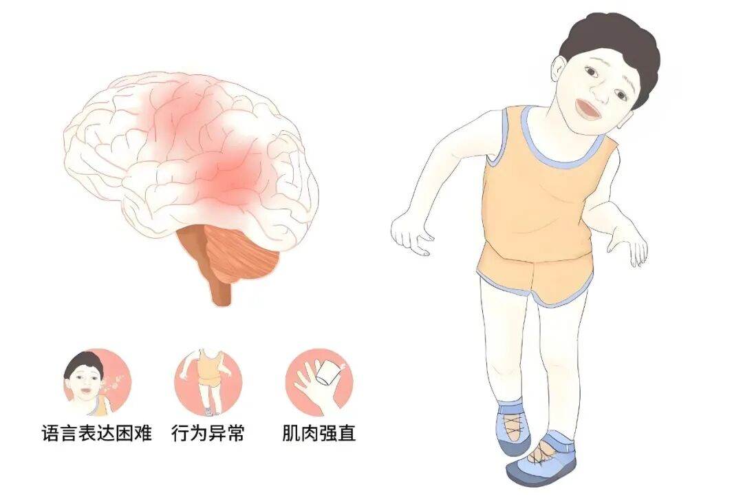 1760408978609114.jpg 1760408978609114.jpg