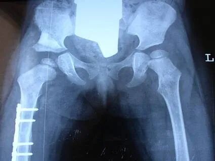 1764146538787137.jpg 6.jpg